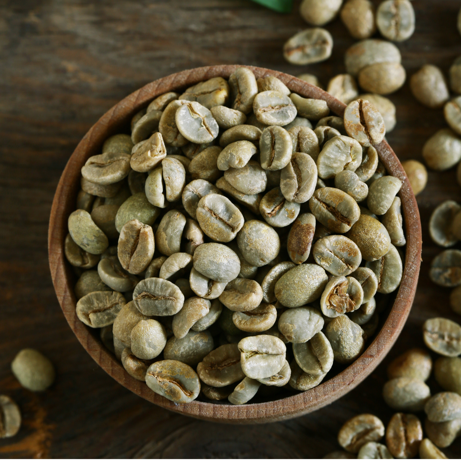 TRADITIONAL VIETNAMESE ROBUSTA GREEN COFFEE – GRADE 1 | 100% ROBUSTA, PROCESSED WHOLE BEANS