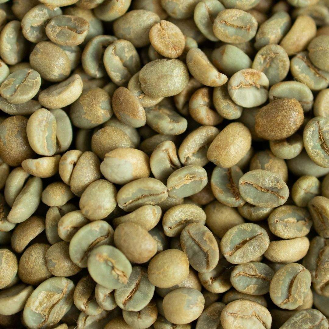 TRADITIONAL VIETNAMESE ROBUSTA GREEN COFFEE – GRADE 1 | 100% ROBUSTA, PROCESSED WHOLE BEANS 4