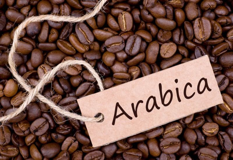 VIETNAMESE ARABICA SPRAY-DRIED INSTANT COFFEE – WHOLESALE EXPORT SUPPLY 3