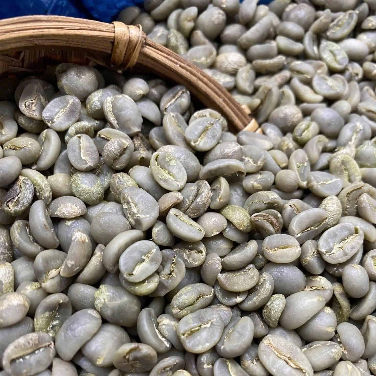 HIGH-QUALITY VIETNAMESE ROBUSTA GREEN COFFEE BEANS – FRUITY FLAVOR | OEM/ODM MANUFACTURER SUPPLY