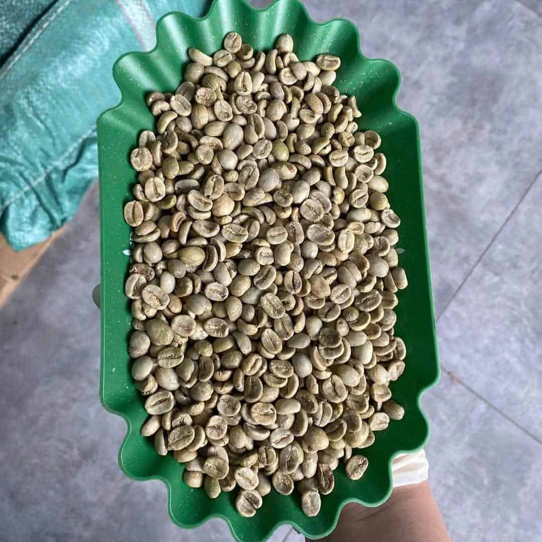 HIGH-QUALITY VIETNAMESE ROBUSTA GREEN COFFEE BEANS – FRUITY FLAVOR | OEM/ODM MANUFACTURER SUPPLY 2