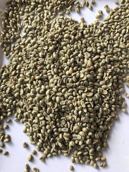 VIETNAMESE ROBUSTA GREEN COFFEE BEANS – WHOLE BEANS FOR EXPORT 3