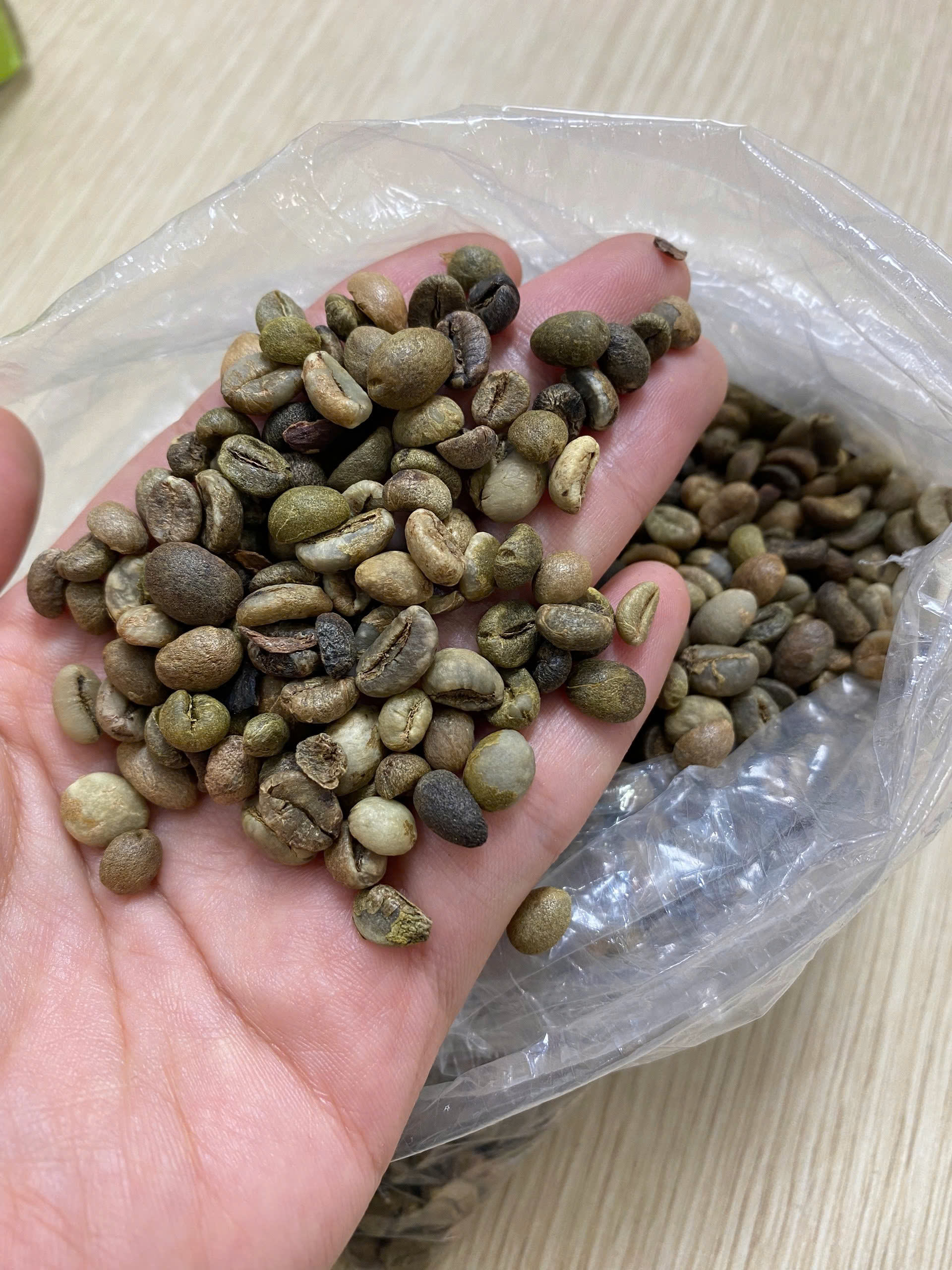 VIETNAMESE ROBUSTA GREEN COFFEE BEANS – WHOLE BEANS FOR EXPORT 4
