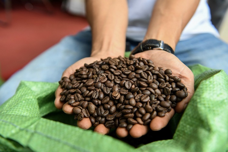 ORGANIC VIETNAMESE ARABICA ROASTED GROUND COFFEE – ISO 22000 | EXPORT QUALITY 2