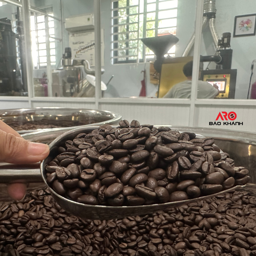 OEM PRIVATE LABEL 100% ARABICA & ROBUSTA VIETNAMESE COFFEE – FRESHLY ROASTED WHOLE BEANS | ECONOMIC BLACK COFFEE