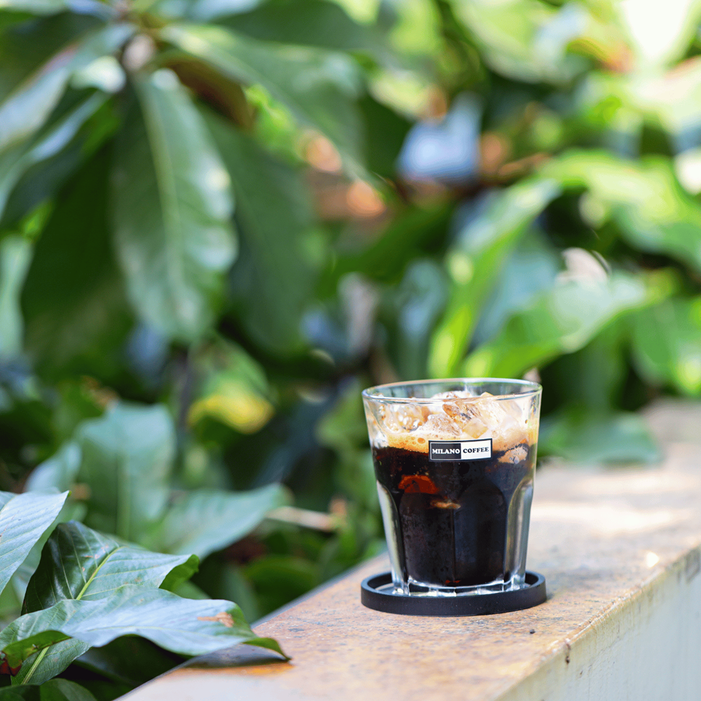 PREMIUM VIETNAMESE WHOLE-BEAN COFFEE 250G – ROBUSTA & ARABICA | CUSTOM BLENDS FOR EXPORT 2