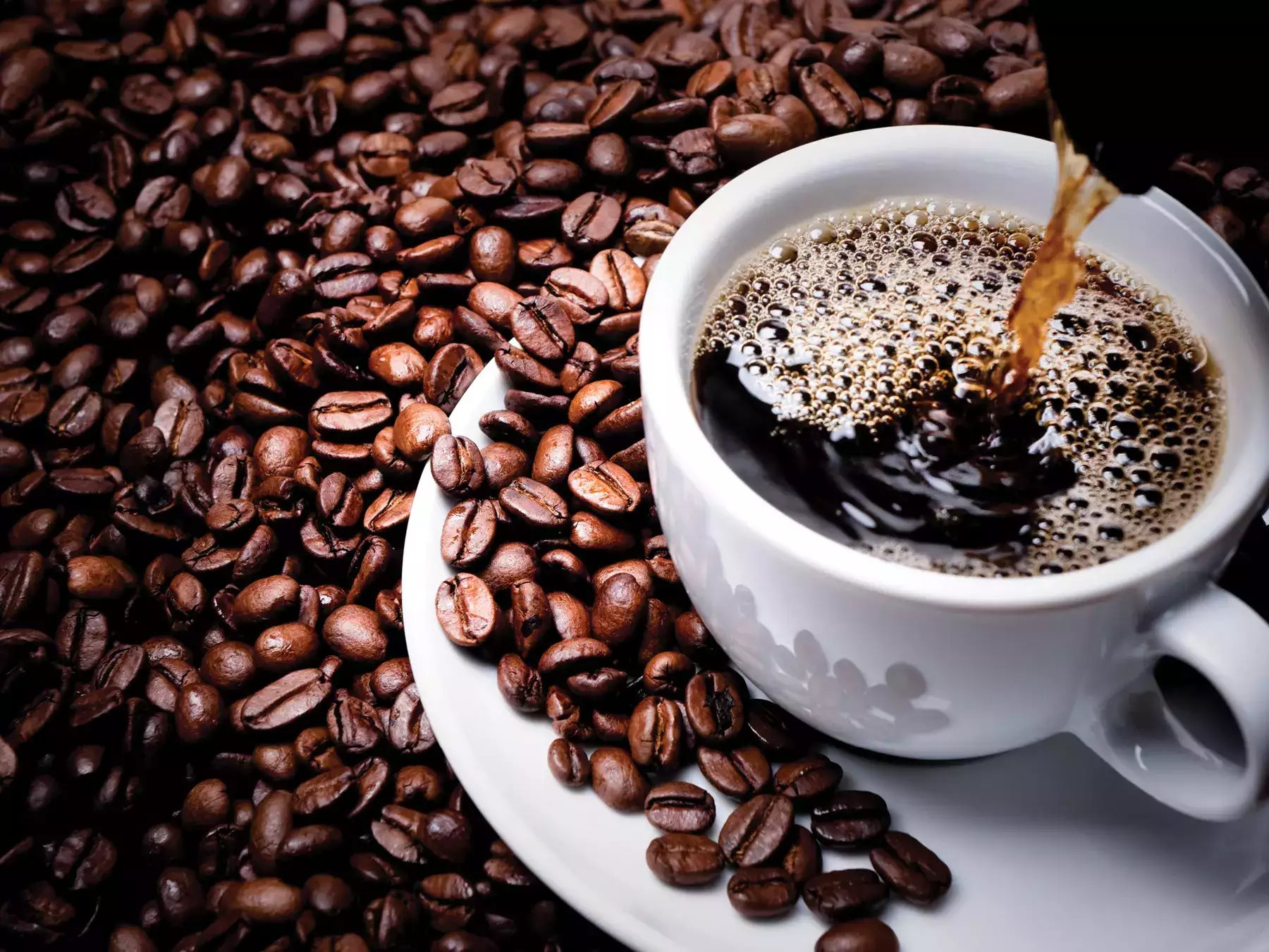 PREMIUM VIETNAMESE ARABICA MOKA COFFEE – 100% GOLDEN WEASEL C7 AA | ODM/OEM WHOLESALE