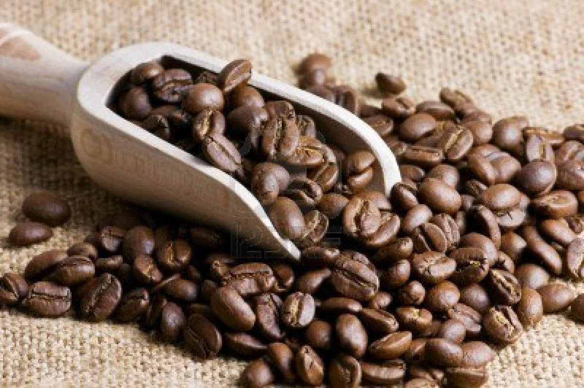 PREMIUM VIETNAMESE ARABICA MOKA COFFEE – 100% GOLDEN WEASEL C7 AA | ODM/OEM WHOLESALE 2