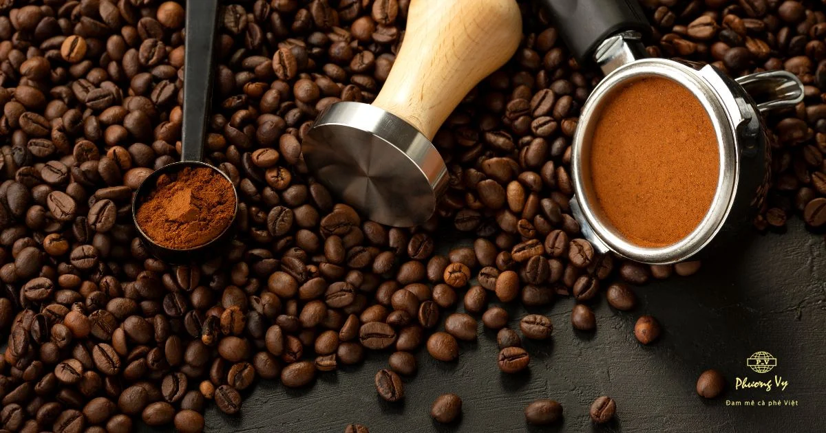 PREMIUM VIETNAMESE ARABICA MOKA COFFEE – 100% GOLDEN WEASEL C7 AA | ODM/OEM WHOLESALE 3