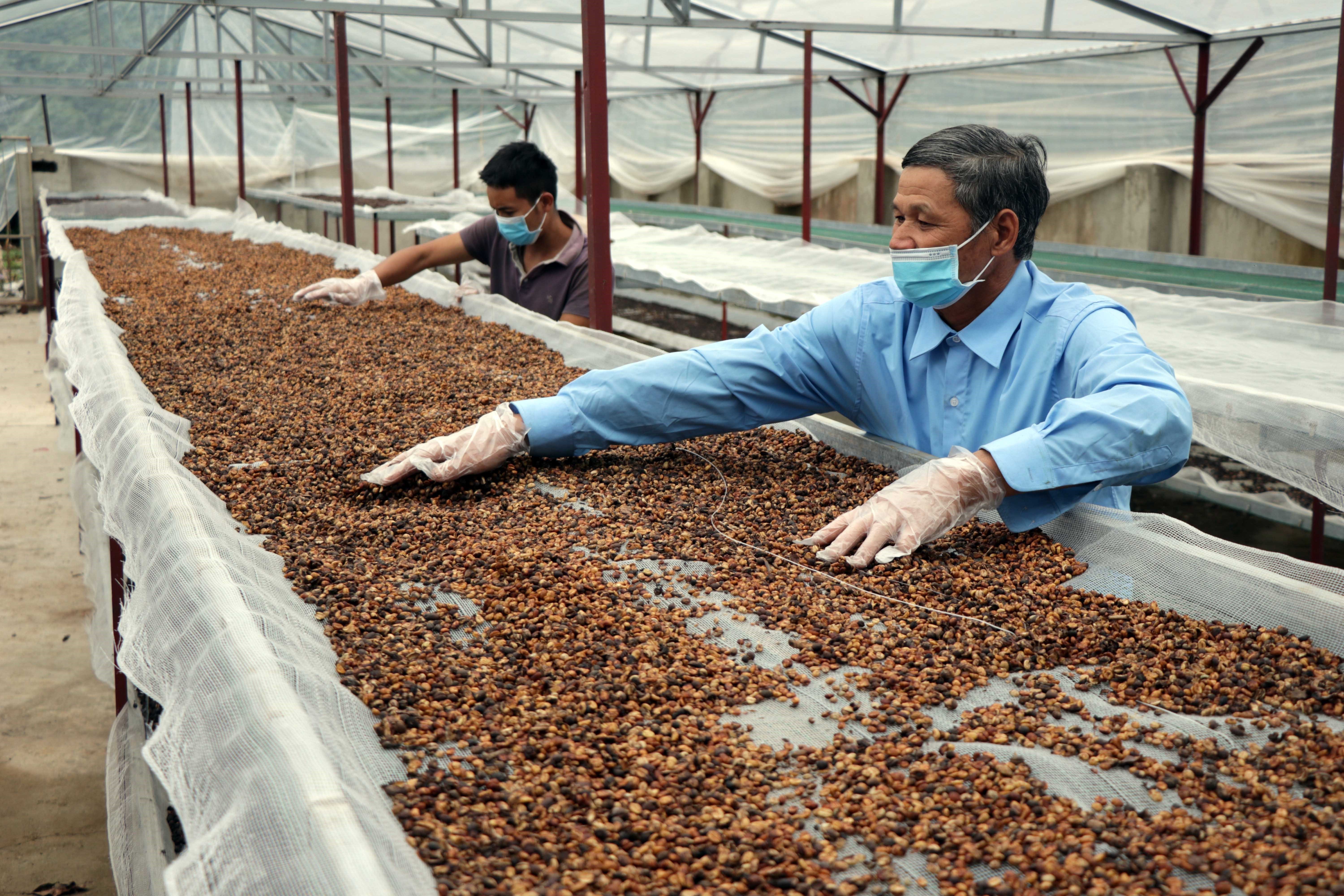 VIETNAMESE CANNED MACHIATO LATTE COFFEE – PREMIUM OEM SUPPLY | EXPORT-READY B2B COFFEE 2