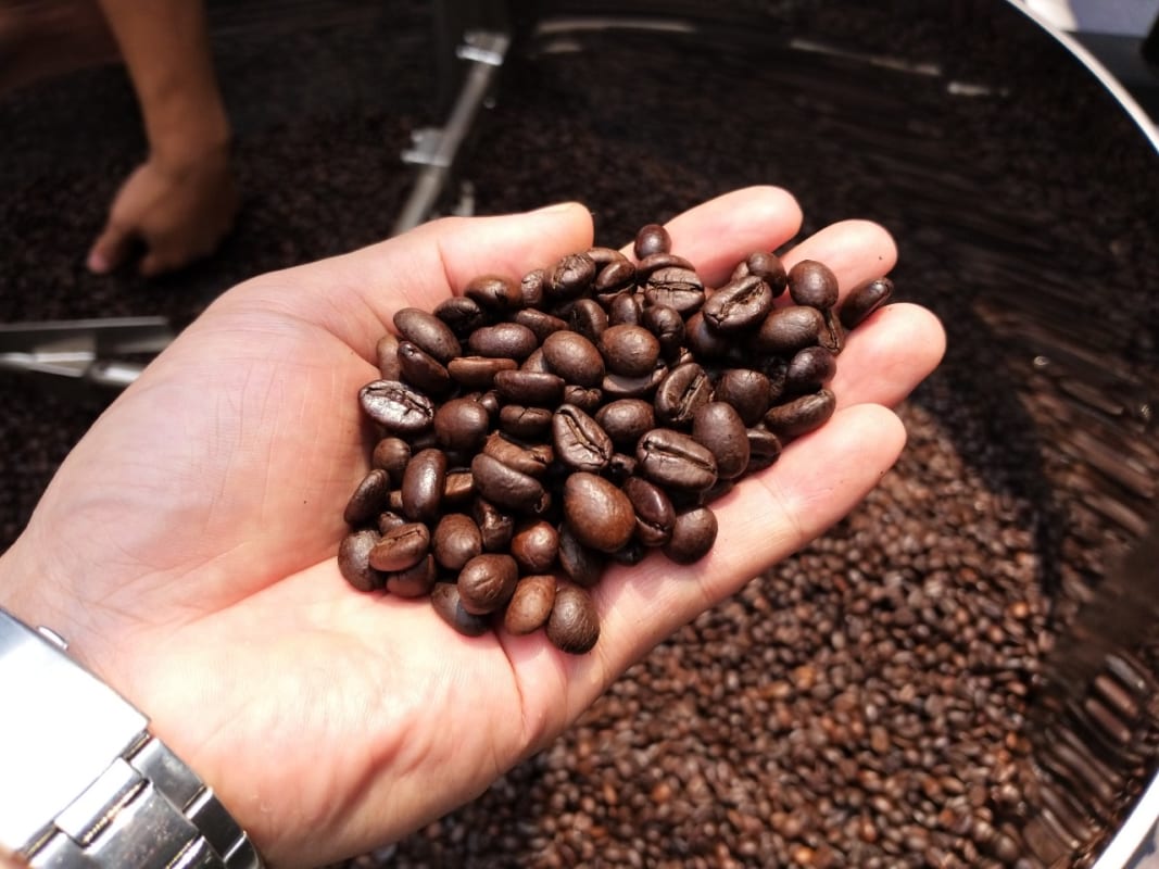 VIETNAMESE ROBUSTA LATTE COFFEE IN CAN – PREMIUM OEM/ODM | RTD COFFEE FOR EXPORT 3