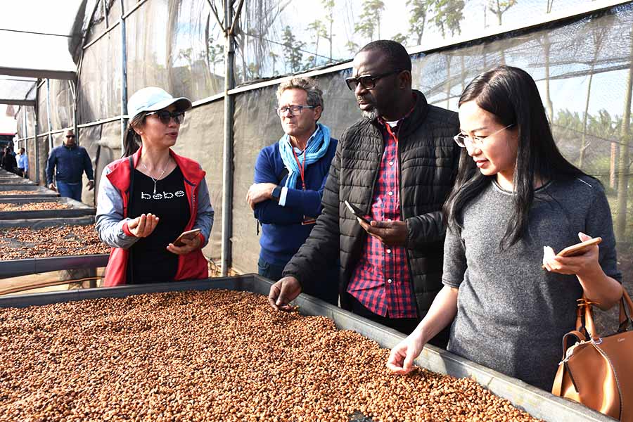 VIETNAMESE CANNED MILK COFFEE – PREMIUM OEM/ODM | READY-TO-DRINK COFFEE FOR EXPORT 2