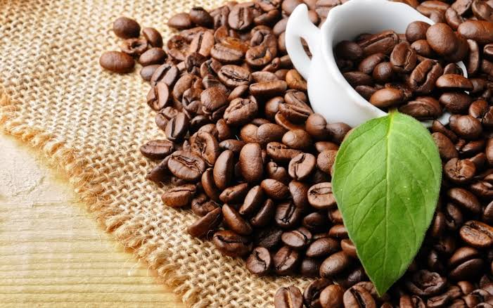 VIETNAMESE CANNED LATTE COFFEE – PREMIUM OEM/ODM | READY-TO-DRINK COFFEE FOR EXPORT 3