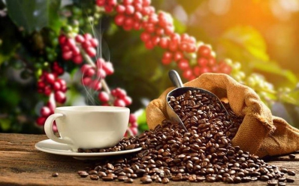 VIETNAMESE CANNED LATTE COFFEE – PREMIUM OEM/ODM | READY-TO-DRINK COFFEE FOR EXPORT 4