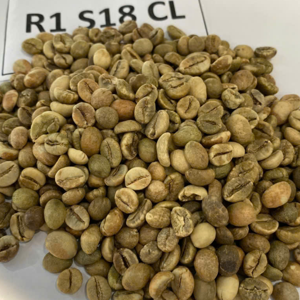 VIETNAMESE TRADITIONAL GREEN COFFEE S18 – GRADE 1 | 2% BEANS, CAFFEINATED, BALANCED PROFILE