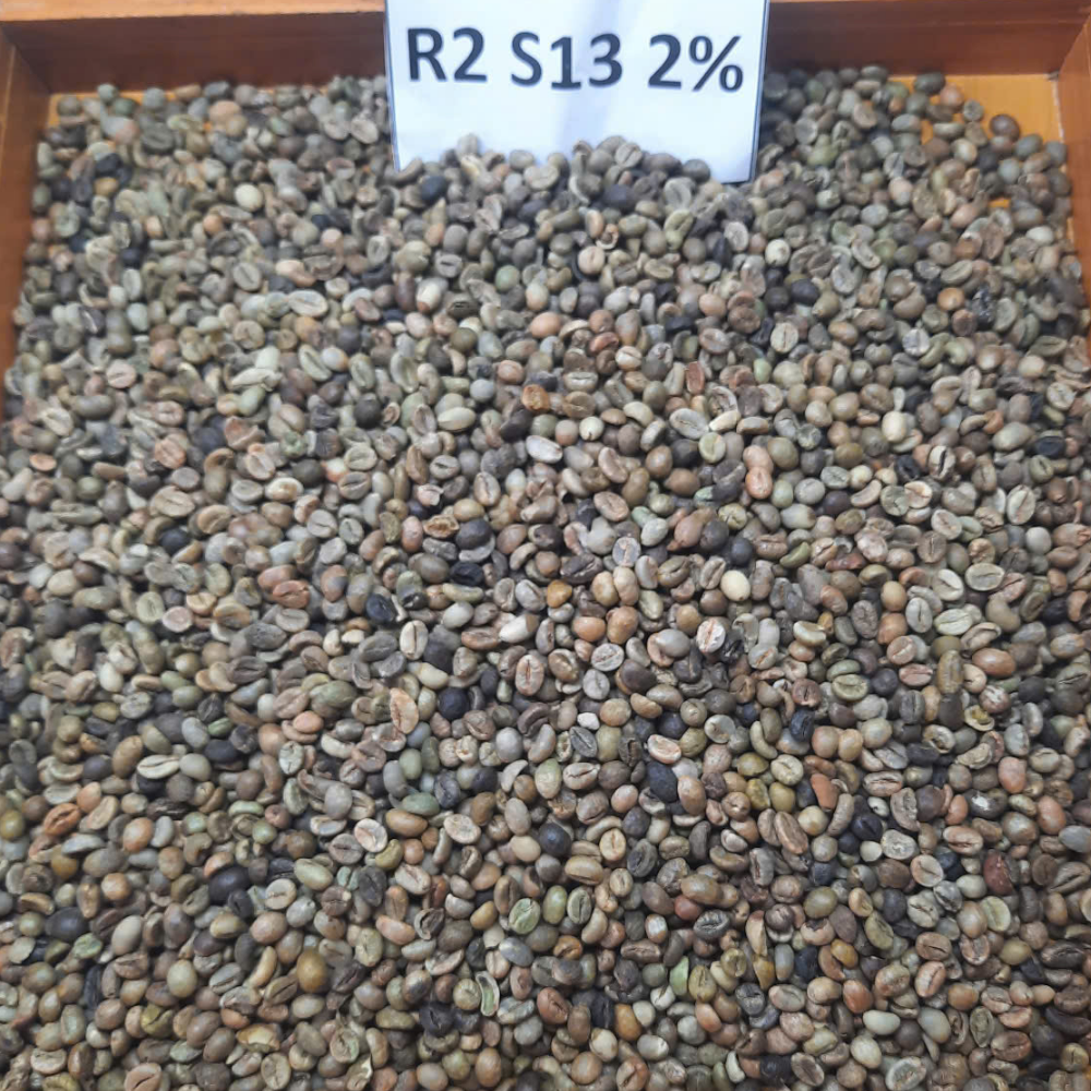 VIETNAMESE TRADITIONAL GREEN COFFEE S18 – GRADE 1 | 2% BEANS, CAFFEINATED, BALANCED PROFILE 2