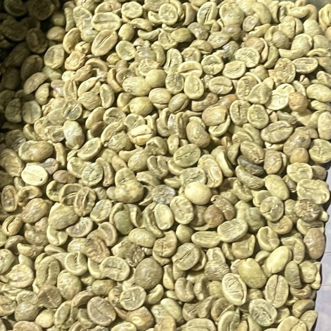 VIETNAMESE ARABICA GREEN COFFEE BEANS – SCREEN 18 | SPECIALTY COFFEE WHOLESALE & EXPORT SUPPLY 3