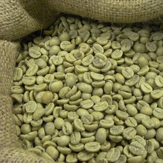 VIETNAMESE ARABICA GREEN COFFEE BEANS – RICH FLAVOR | UNROASTED BULK COFFEE FOR ROASTING