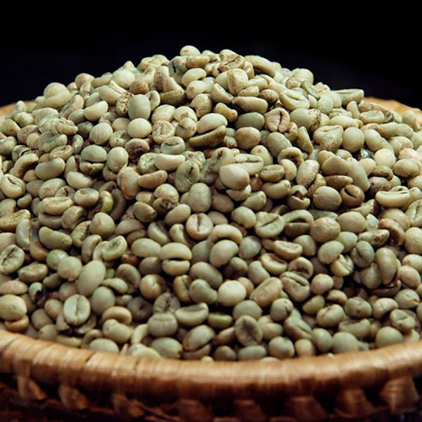 VIETNAMESE ARABICA GREEN COFFEE BEANS – RICH FLAVOR | UNROASTED BULK COFFEE FOR ROASTING 2