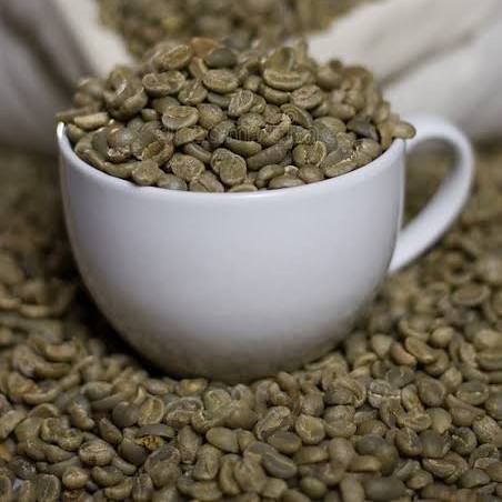 VIETNAMESE ARABICA GREEN COFFEE BEANS – RICH FLAVOR | UNROASTED BULK COFFEE FOR ROASTING 4