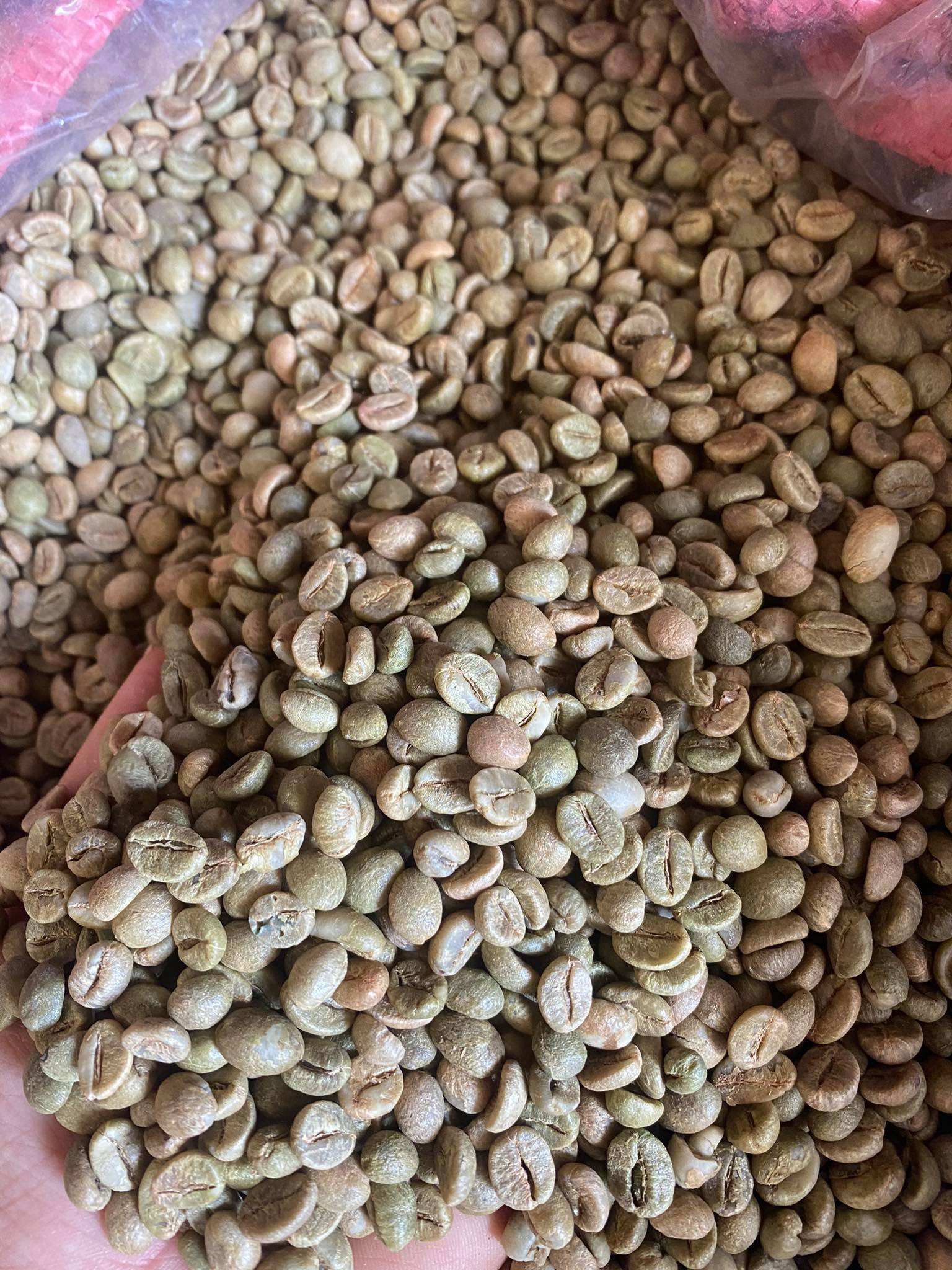VIETNAMESE ROBUSTA COFFEE BEANS – 100% PURE | GREEN BEANS & DARK ROAST OPTIONS FOR GLOBAL EXPORT 2