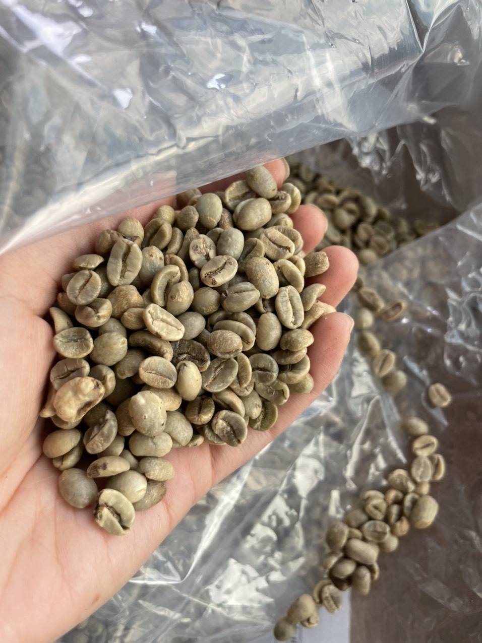 VIETNAMESE ROBUSTA COFFEE BEANS – 100% PURE | GREEN BEANS & DARK ROAST OPTIONS FOR GLOBAL EXPORT 3