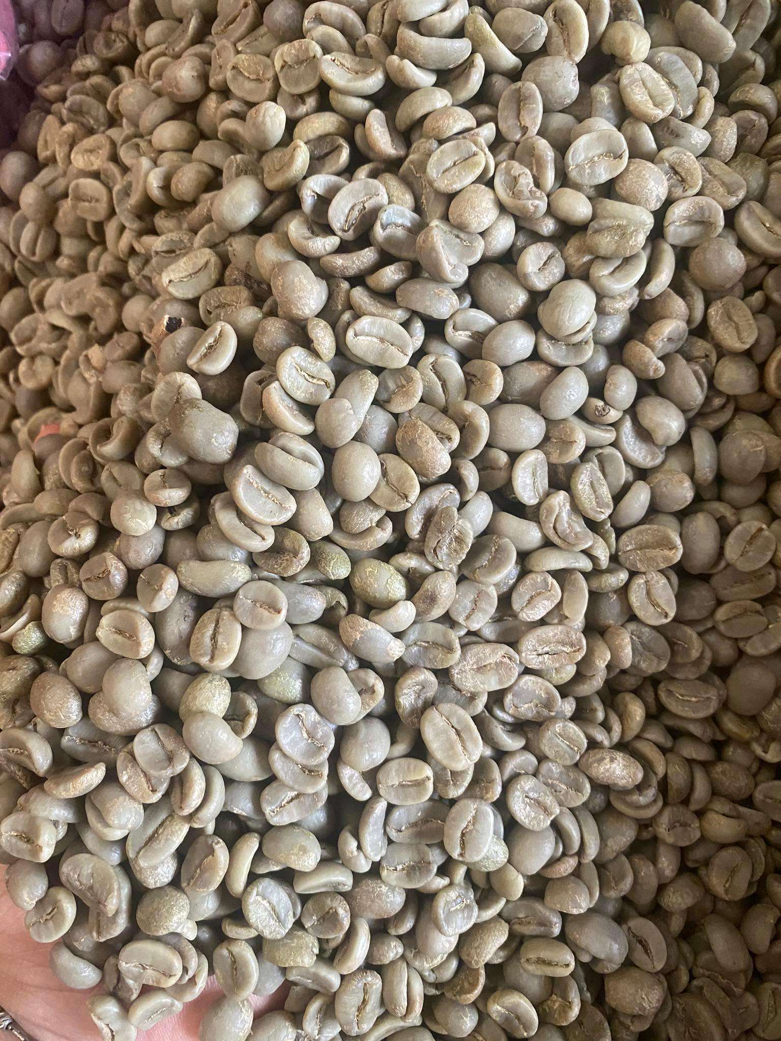VIETNAMESE ROBUSTA COFFEE BEANS – 100% PURE | GREEN BEANS & DARK ROAST OPTIONS FOR GLOBAL EXPORT 4