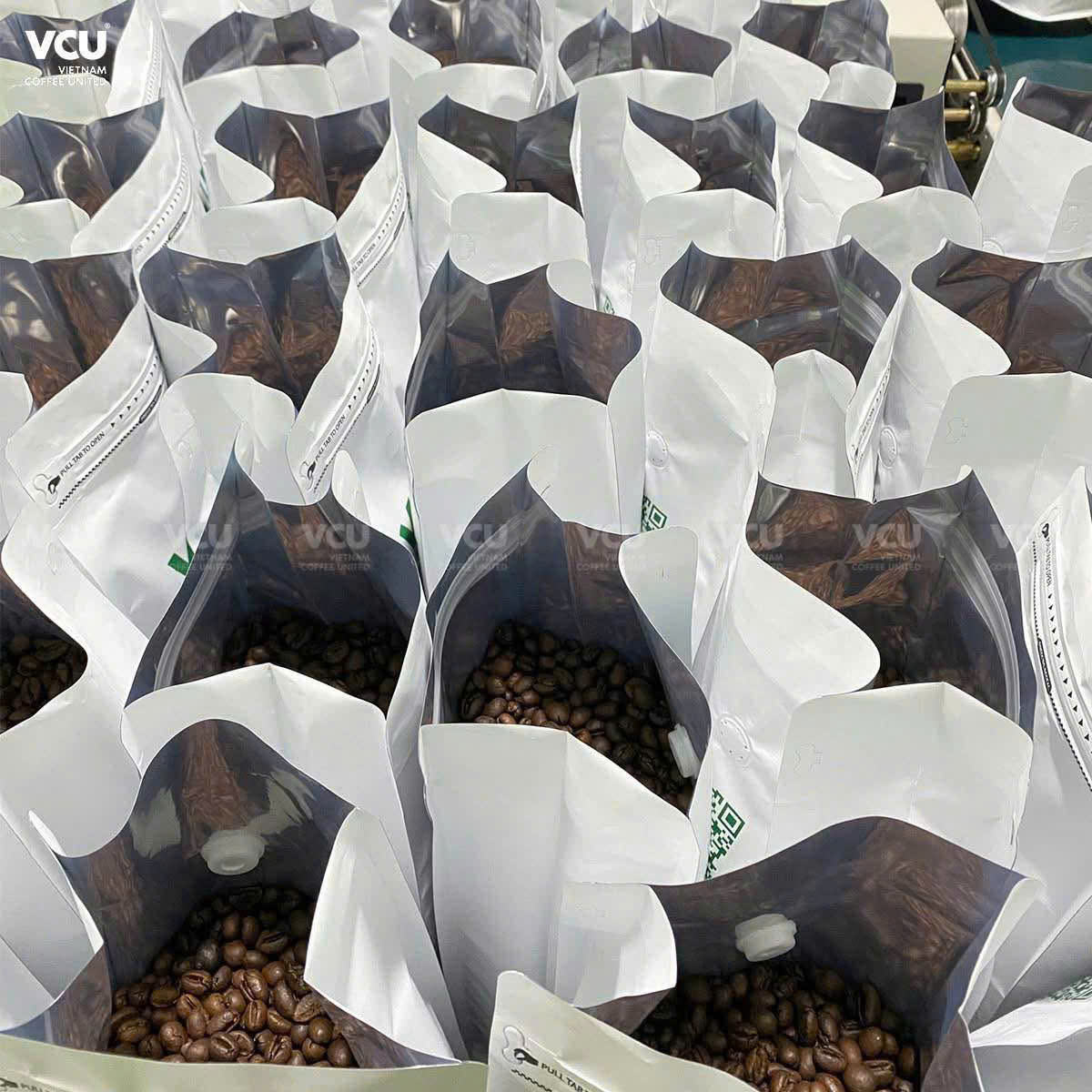 PREMIUM 100% SINGLE-ORIGIN VIETNAMESE ROBUSTA ROASTED WHOLE-BEAN COFFEE – CUSTOM PACKAGING | OEM/ODM SUPPLY