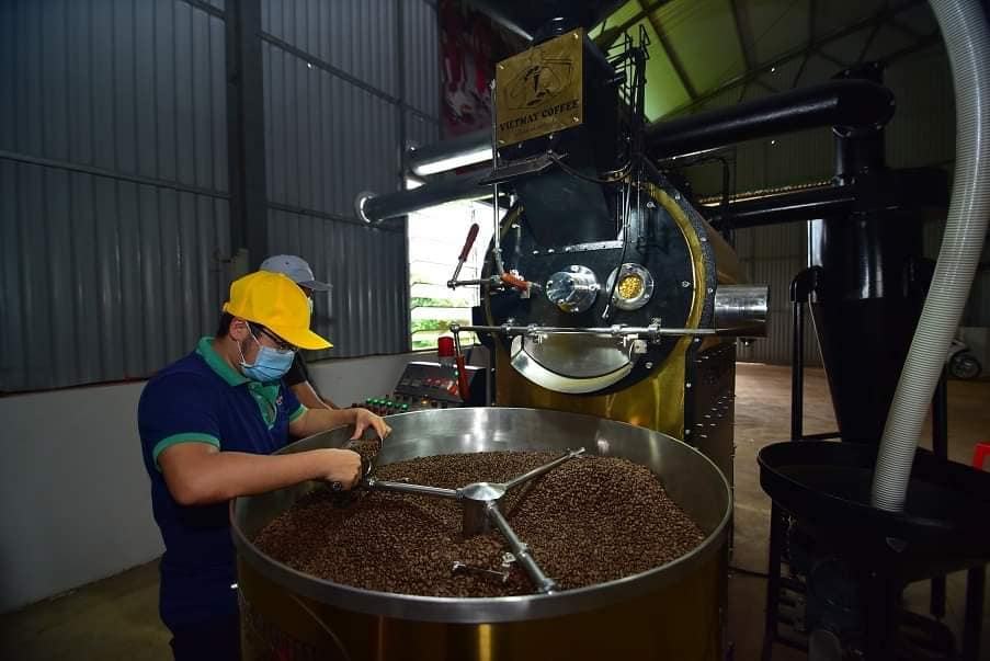 VIETNAMESE GREEN COFFEE BEANS – TOP-GRADE ARABICA & ROBUSTA | WHOLESALE EXPORT SUPPLY 2