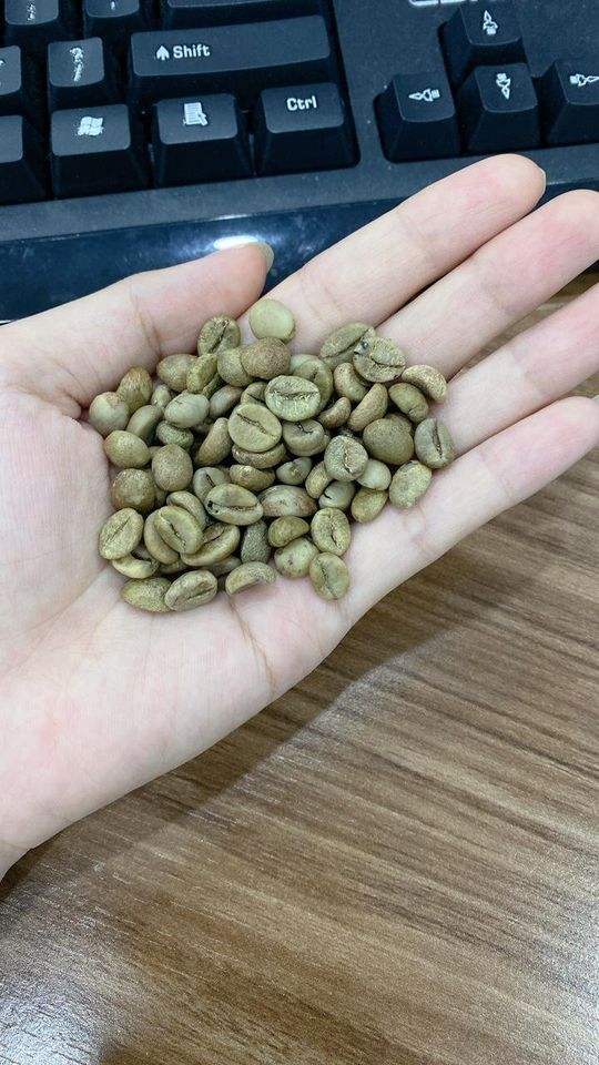 VIETNAMESE GREEN COFFEE BEANS – TOP-GRADE ARABICA & ROBUSTA | WHOLESALE EXPORT SUPPLY 3