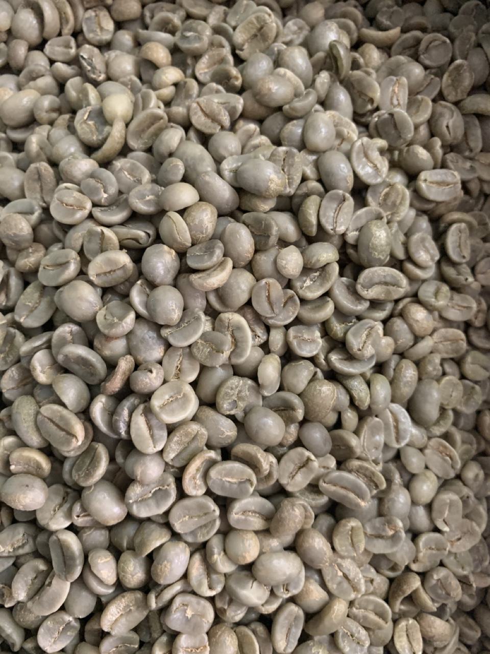 VIETNAMESE GREEN COFFEE BEANS – TOP-GRADE ARABICA & ROBUSTA | WHOLESALE EXPORT SUPPLY 4
