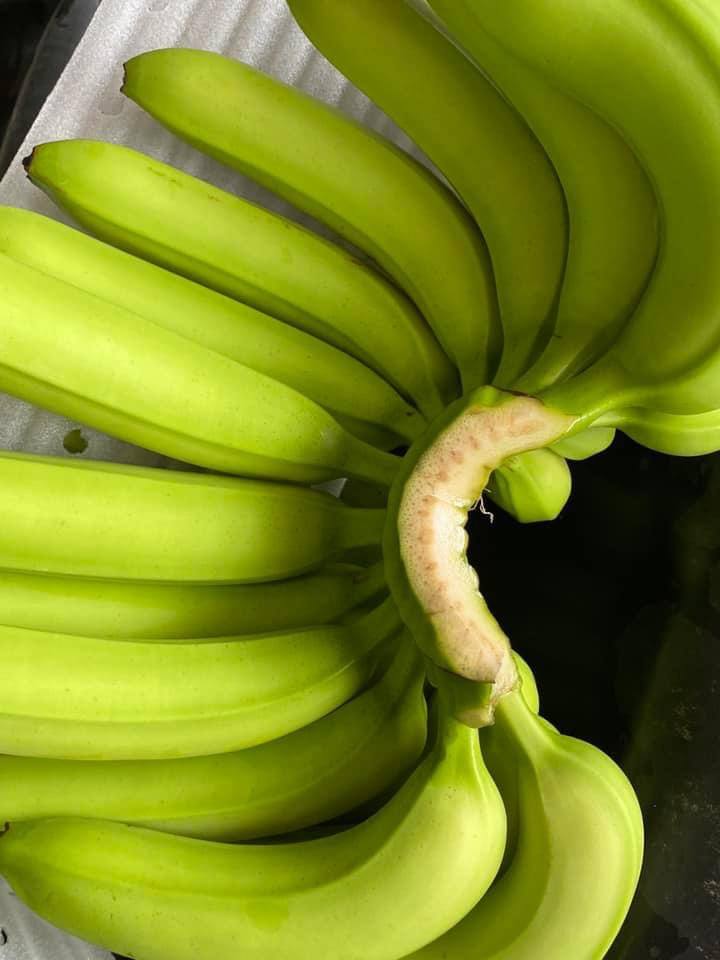 FRESH VIETNAMESE CAVENDISH BANANAS 13KG – GRADE A | NATURALLY SWEET FOR FRESH & FOOD PROCESSING 3