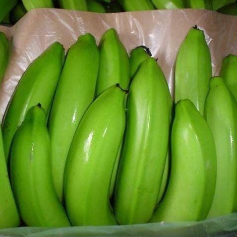 ORGANIC IQF FROZEN VIETNAMESE BANANA PUREE – BULK PACKAGING | WHOLESALE EXPORT SUPPLY 3