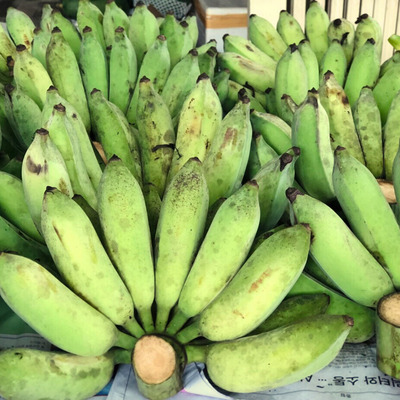 VIETNAMESE MAT MOC BANANA – NATURALLY SWEET BANANA | WHOLESALE & EXPORT SUPPLY