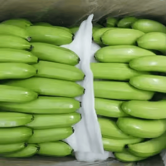 PREMIUM ORGANIC VIETNAMESE CAVENDISH BANANAS – EXPORT QUALITY | BULK SUPPLY & CUSTOM ORDERS 2