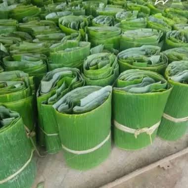 FRESH BEN TRE BANANA LEAVES 1KG – FOR BANH TET WRAPPING | VIETNAMESE FOOD PACKAGING 3