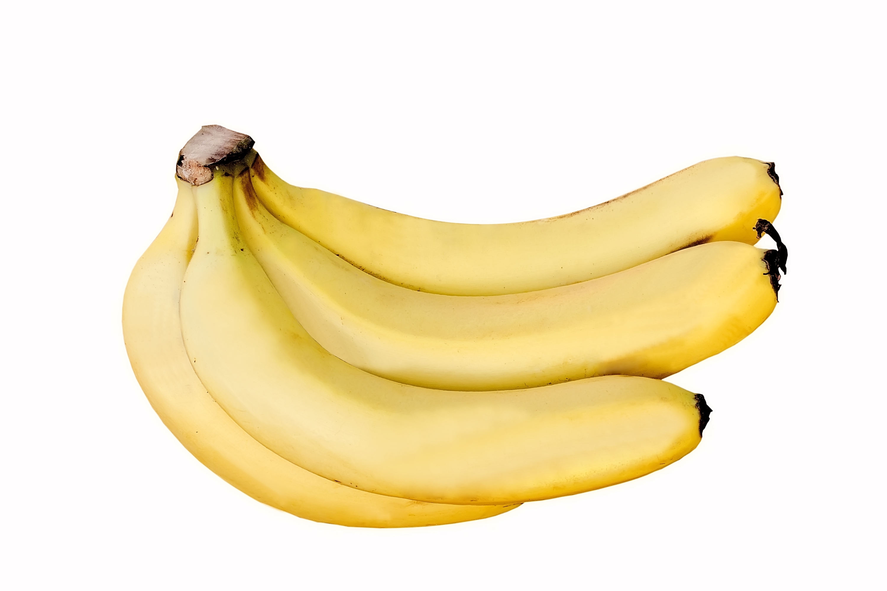 FRESH VIETNAMESE BANANAS – NATURALLY SWEET | CLEAN LABEL, NON-GMO & WHOLESALE EXPORT 2