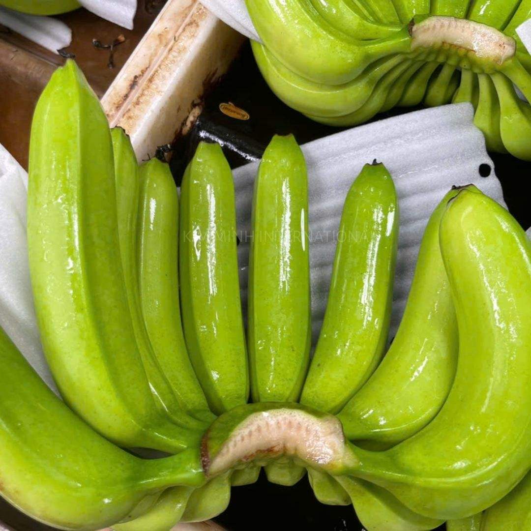 FRESH GREEN VIETNAMESE BANANAS – RELIABLE SUPPLIER | WHOLESALE EXPORT