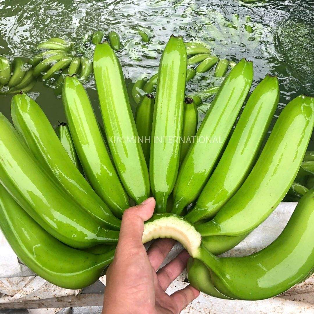 FRESH GREEN VIETNAMESE BANANAS – RELIABLE SUPPLIER | WHOLESALE EXPORT 2