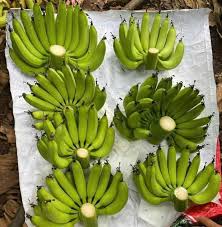 PHU THO PINK BANANAS – VIETNAMESE FRESH BANANA | WHOLESALE EXPORT SUPPLY 2