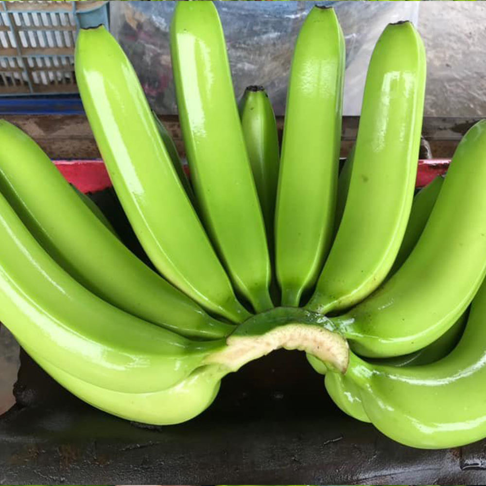 PREMIUM FRESH VIETNAMESE CAVENDISH BANANAS – NATURALLY SWEET | BULK EXPORT SUPPLY 3