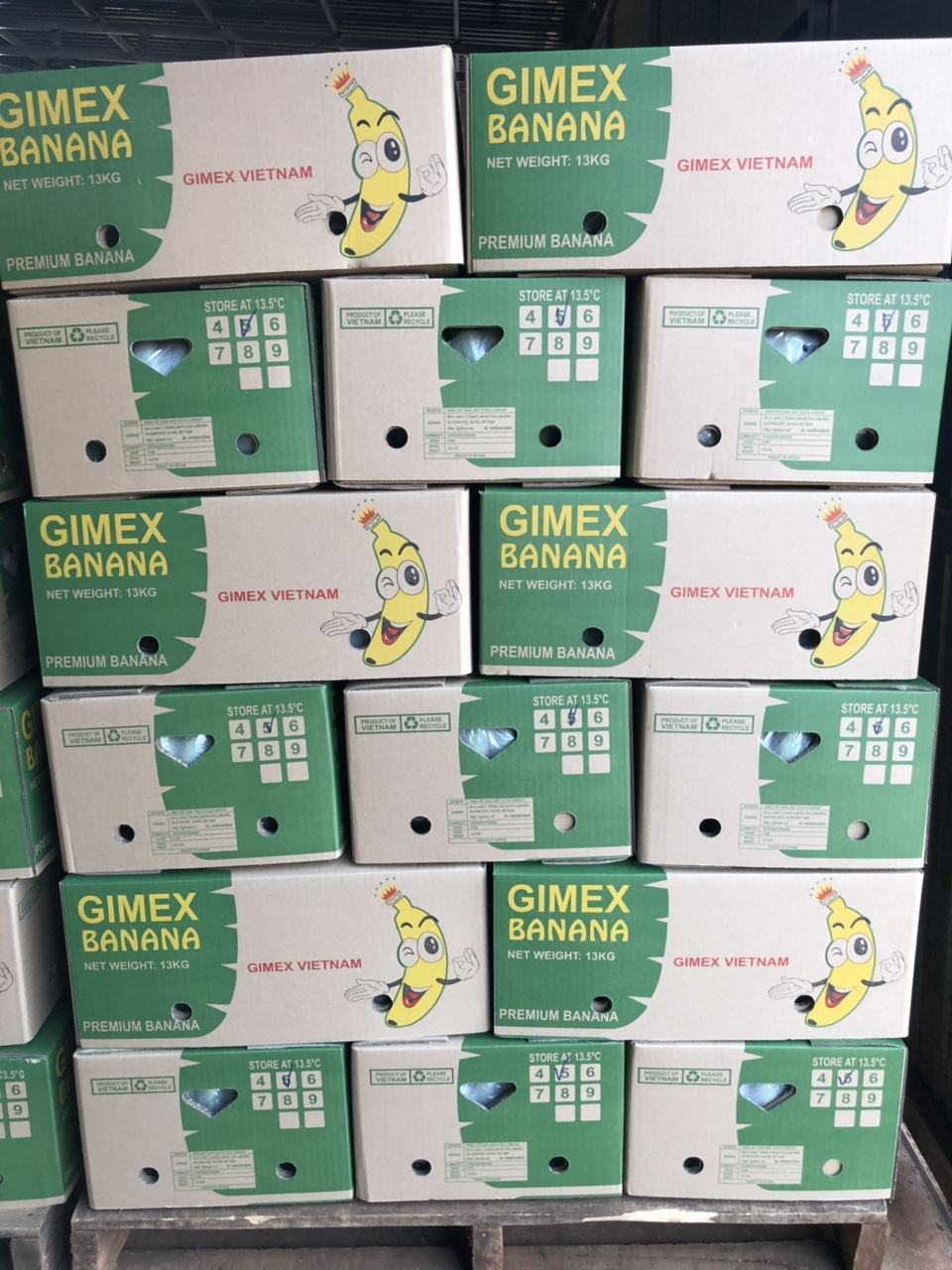PREMIUM AA VIETNAMESE CAVENDISH GREEN BANANAS 13KG – FRESH NEW CROP | OEM CUSTOM PACKAGING 2
