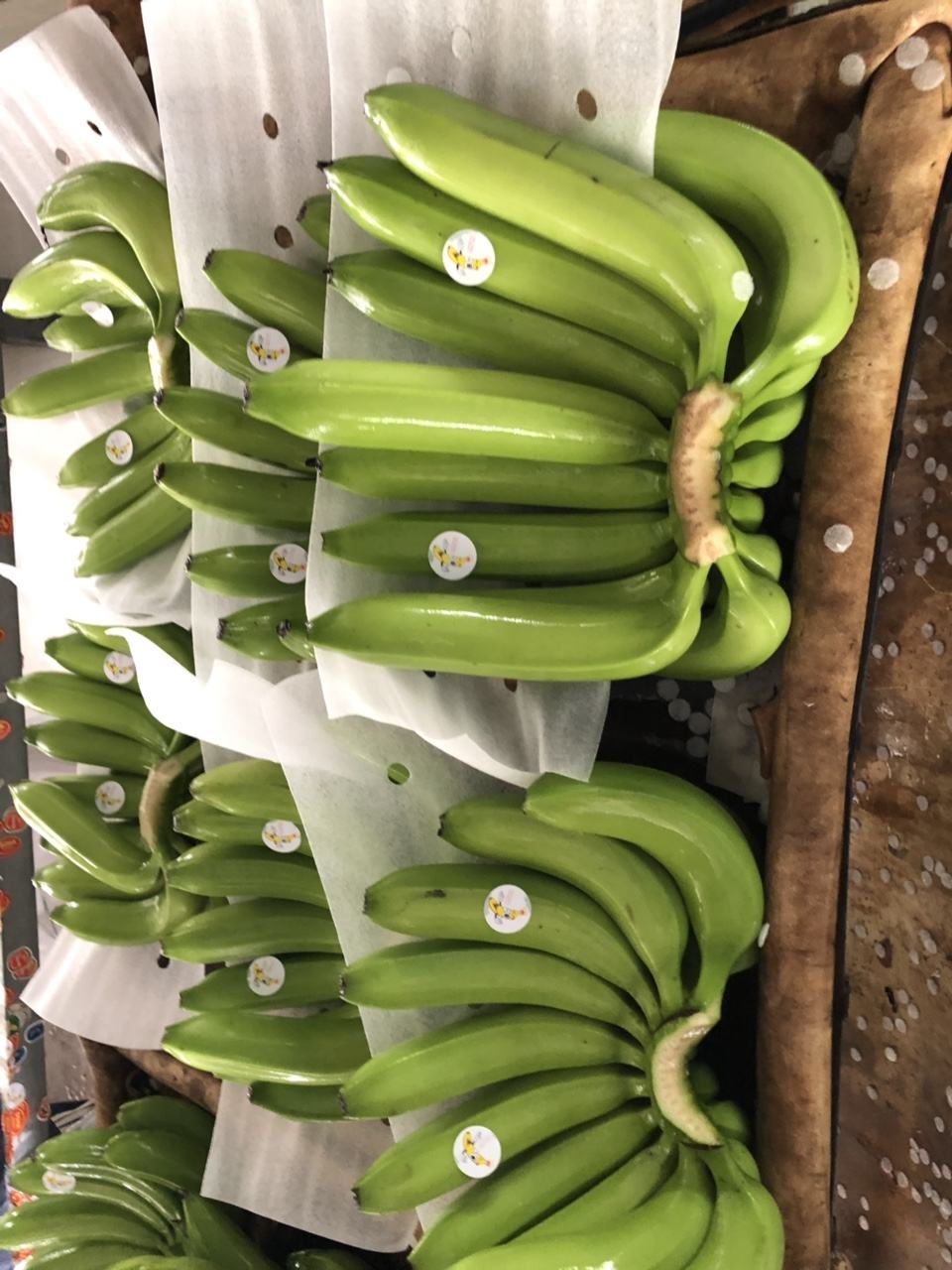 PREMIUM AA VIETNAMESE CAVENDISH GREEN BANANAS 13KG – FRESH NEW CROP | OEM CUSTOM PACKAGING 3