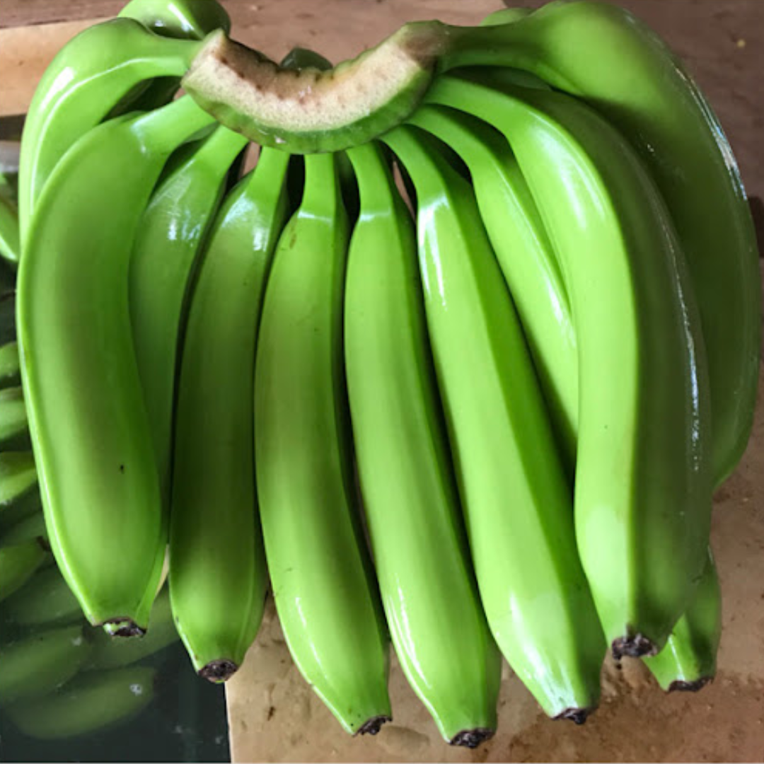 PREMIUM ORGANIC VIETNAMESE TROPICAL BANANAS – FRESH HARVEST | CAREFULLY PACKED FOR EXPORT