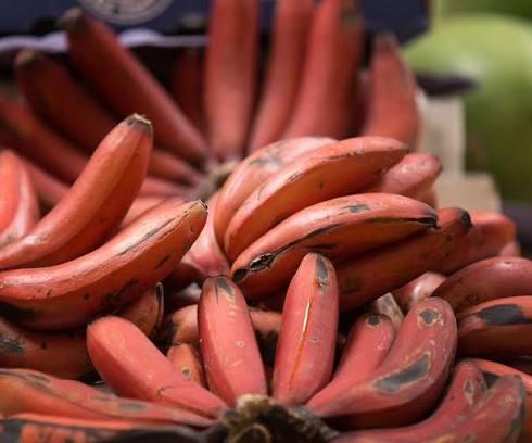 RED NGU BANANAS – VIETNAMESE PREMIUM SPECIALTY FRUIT | WHOLESALE EXPORT  Vietnamese Name: Chuối ngự đỏ 2