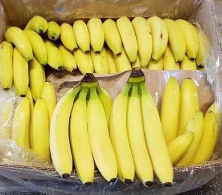 ORGANIC VIETNAMESE CAVENDISH BANANAS 13.5KG – PREMIUM FRESH EXPORT | LONG-SHELF-LIFE SUPPLY 4