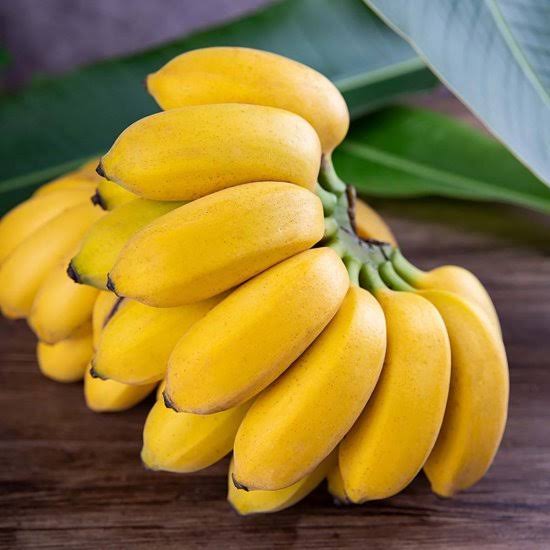 HUE CAU BANANAS – FRESH VIETNAMESE SPECIALTY FRUIT | WHOLESALE EXPORT