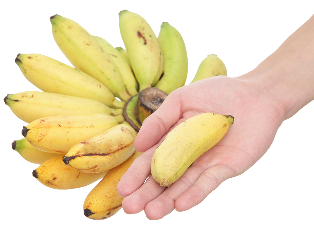HUE CAU BANANAS – FRESH VIETNAMESE SPECIALTY FRUIT | WHOLESALE EXPORT 2