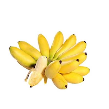 HUE CAU BANANAS – FRESH VIETNAMESE SPECIALTY FRUIT | WHOLESALE EXPORT 3