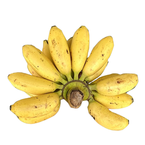 HUE CAU BANANAS – FRESH VIETNAMESE SPECIALTY FRUIT | WHOLESALE EXPORT 4
